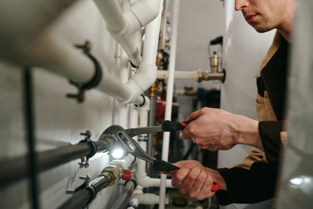 Best Plumbing Inspection Services  in Arbutus, MD